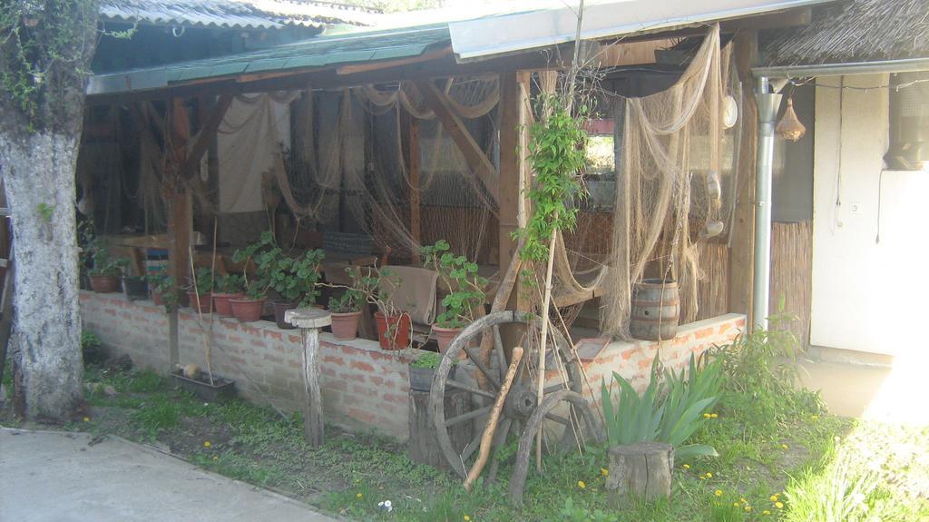 Farm Stay Lackovic Bilje Exterior photo